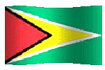 Guyana flag waving clip art