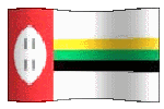 Kwazula flag waving clip art