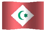 animated clip art Republic of the Rif flag
