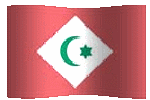 Republic of the Rif flag waving picture