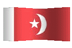 animated clipart Al Qaiwain flag