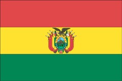 Bolivian Flag Picture
