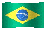 brazil flag waving image