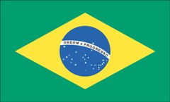 Brazilian Flag Picture