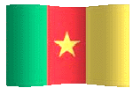 cameroon flag waving image