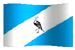 ciskei flag waving graphic
