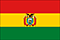 Bolivian flag picture