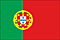 Flag of Portugal Picture