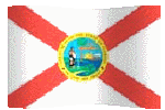 florida flag waving graphic