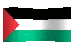 palestine flag waving picture