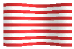 sons of liberty2 flag waving picture