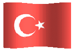 turkey flag waving picture