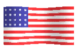 usa1818 flag waving picture