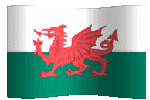 wales flag waving picture