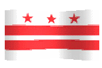 washington dc flag waving picture