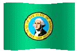 washington flag waving picture